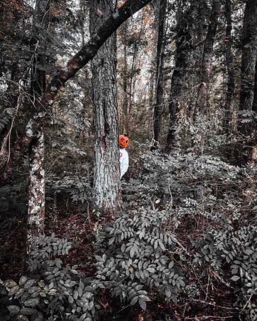 A figure with a pumpkin head stands behind a tree in a dark, wooded area, surrounded by dense foliage.