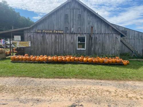 A rustic barn with a sign reading "The Pickin Patch" and a row of pumpkins displayed in front on a sunny day.