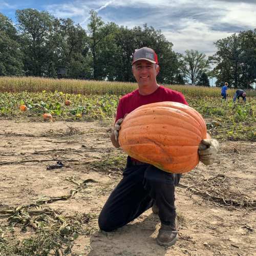 A person kneels in a pumpkin patch, holding a large orange pumpkin, with fields and trees in the background.