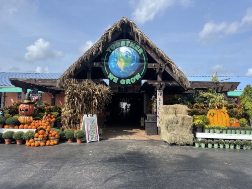 A rustic entrance to a pumpkin patch, decorated with pumpkins, hay bales, and colorful flowers under a blue sky.