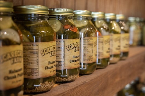 A row of jars filled with pickles, labeled "Scaredy Ear" with a focus on habanero chunk pickles.
