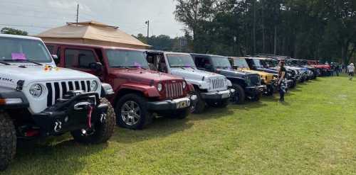 A row of colorful Jeep vehicles parked on grass, with trees and a tent in the background.