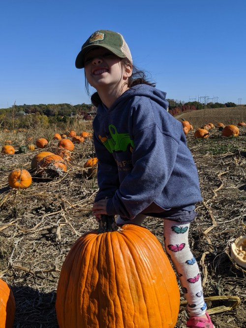 A child in a cap and hoodie smiles while lifting a large pumpkin in a pumpkin patch under a clear blue sky.