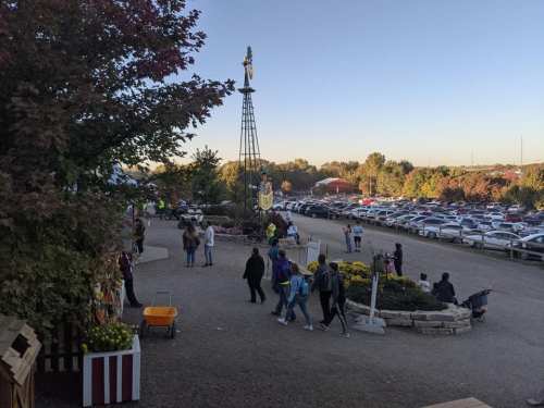 A bustling outdoor area with people walking, colorful flowers, and a tall structure in the background, surrounded by parked cars.