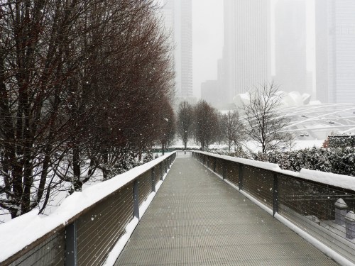 A snowy pathway lined with trees, leading through a winter landscape with tall buildings in the background.