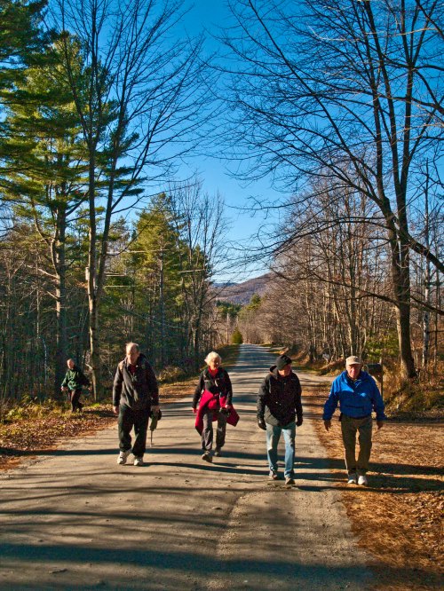 A group of five people walking along a tree-lined dirt road on a clear day.