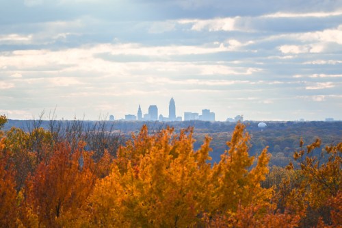 A distant city skyline is framed by vibrant autumn foliage under a cloudy sky.