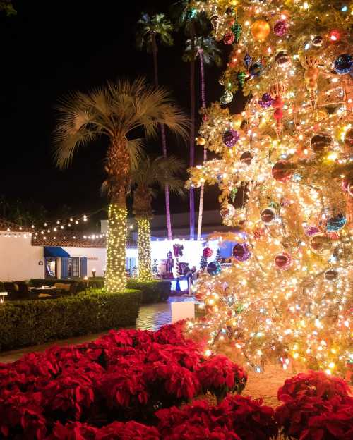 A brightly lit Christmas tree adorned with ornaments stands beside vibrant red poinsettias and palm trees at night.