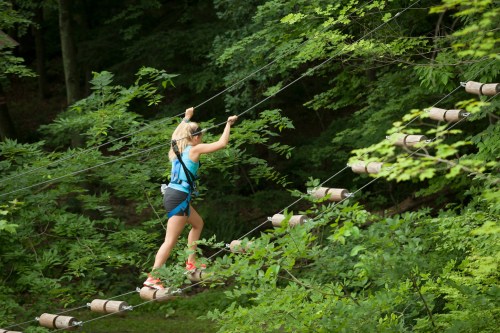 A person in a blue harness navigates a treetop obstacle course among lush green trees.