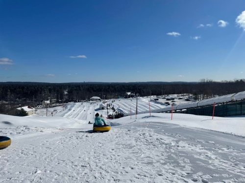 A snowy hill with people tubing, surrounded by trees and a clear blue sky in the background.