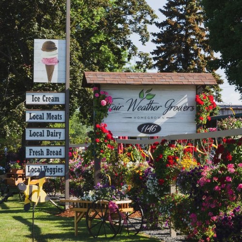 A colorful sign for Fair Weather Growers, featuring flowers, ice cream, and local produce, set in a sunny outdoor area.