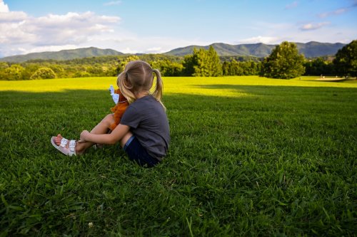 A child sits on grass, looking at a scenic view of mountains and trees under a blue sky with fluffy clouds.