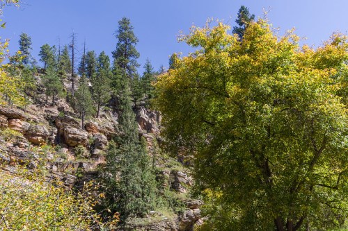 Lush green trees and rocky cliffs under a clear blue sky, showcasing a vibrant natural landscape.