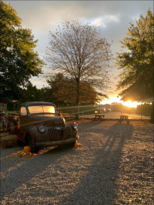 A vintage truck parked on a gravel path, surrounded by trees and pumpkins, with a sunset in the background.