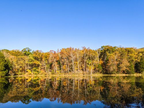 A serene lake reflecting colorful autumn trees under a clear blue sky.