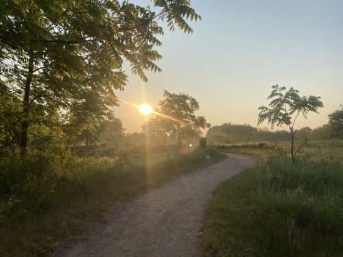 A sun sets behind trees along a winding dirt path in a serene, green landscape.