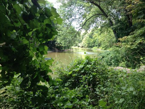 A serene river scene framed by lush green foliage and trees, reflecting a peaceful natural environment.