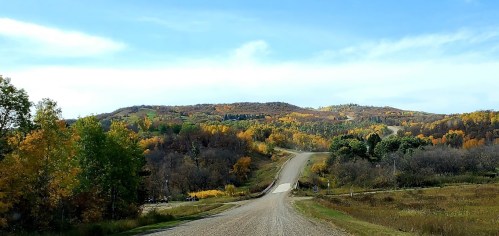 A winding gravel road leads through a landscape of colorful autumn trees under a clear blue sky.