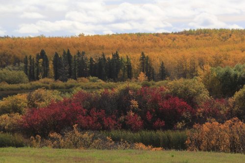 A vibrant landscape showcasing autumn foliage with trees in shades of orange, red, and green under a cloudy sky.