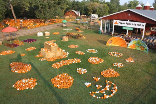 Aerial view of a pumpkin patch with scattered pumpkins, hay bales, and colorful tents in a rural setting.