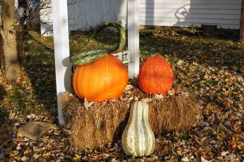 Three pumpkins in various colors and sizes displayed on a hay bale, surrounded by fallen autumn leaves.