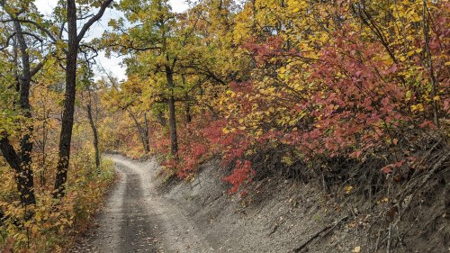 A winding dirt path surrounded by trees with vibrant autumn foliage in shades of yellow, orange, and red.