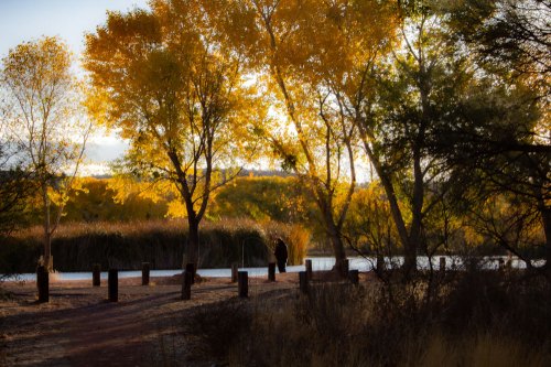A serene landscape with golden autumn trees, a path, and a person walking near a calm body of water.