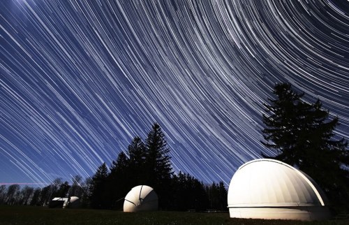 Star trails swirl above observatories in a dark sky, with trees silhouetted against the horizon.