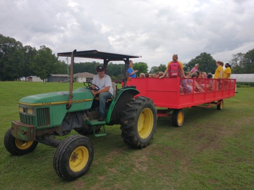 A green tractor pulls a red wagon filled with children on a grassy field under a cloudy sky.