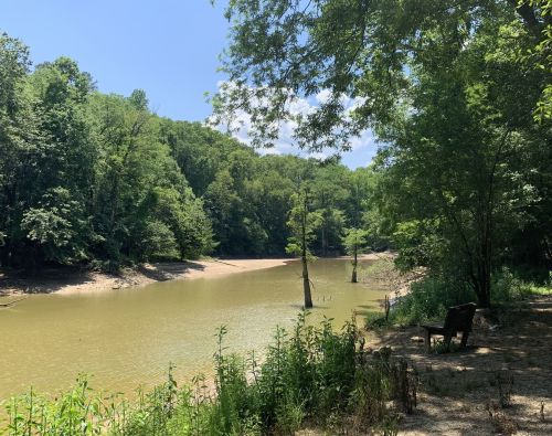 A serene river scene surrounded by lush green trees, with a sandy bank and a lone bench nearby.