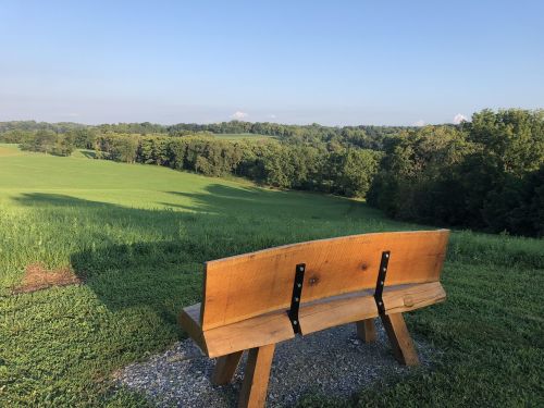 A wooden bench overlooks a lush green landscape with trees and rolling hills under a clear blue sky.