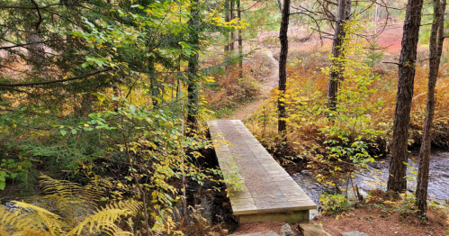 A wooden bridge spans a small stream, surrounded by trees and autumn foliage.