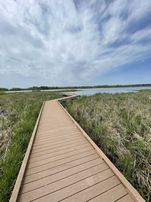 A wooden boardwalk winding through tall grass, leading to a calm body of water under a blue sky with clouds.