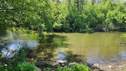 A serene river scene surrounded by lush green trees and gentle ripples on the water's surface.