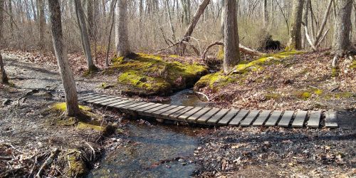 A wooden bridge crosses a small stream in a wooded area with bare trees and moss-covered ground.