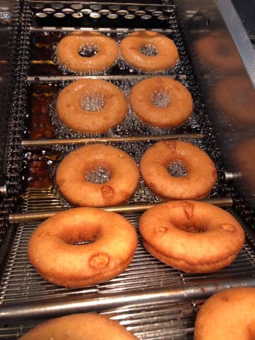 Freshly fried donuts bubbling in hot oil on a conveyor fryer.