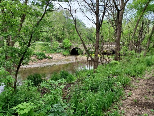 A serene stream flows through a lush green landscape, with trees lining the banks and a stone bridge in the background.