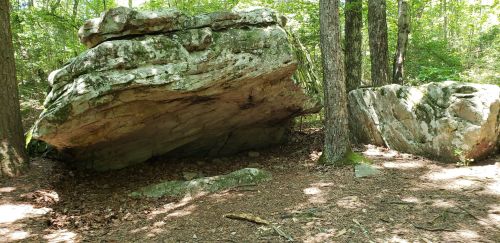 Large boulders surrounded by trees in a wooded area, with leaves and soil covering the ground.