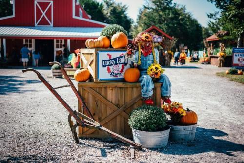 A scarecrow sits on a wooden crate surrounded by pumpkins and flowers at a farm, with a red barn in the background.