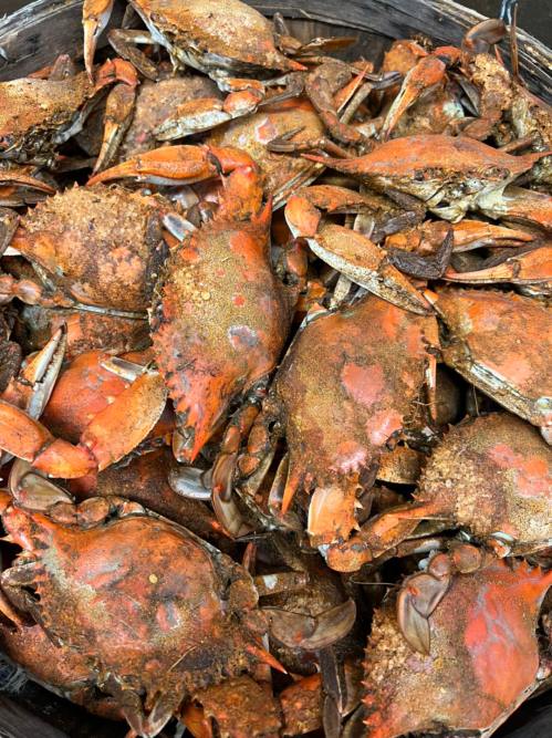 A close-up of a pile of cooked crabs with reddish-brown shells, arranged in a basket.