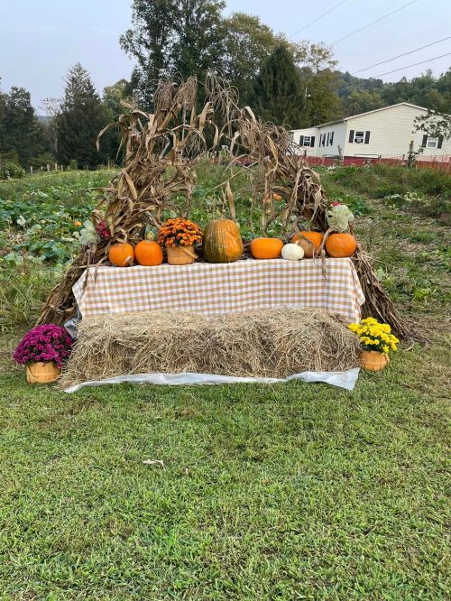 A rustic display with pumpkins, flowers, and hay bales set in a garden, surrounded by greenery and trees.