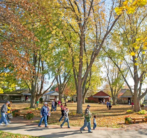 A vibrant park scene with people walking among trees and colorful autumn leaves, enjoying a sunny day.