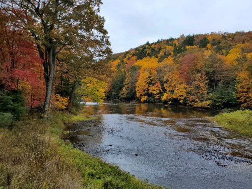 A serene river flows through a landscape of vibrant autumn foliage in shades of orange, yellow, and green.