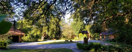 A serene landscape featuring a gravel driveway, lush greenery, and deer grazing near rustic buildings.