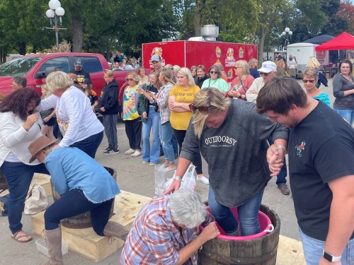 A lively outdoor event with people participating in a grape stomping contest, surrounded by a crowd and food vendors.
