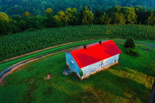 Aerial view of a small blue house with a red roof, surrounded by green fields and trees.