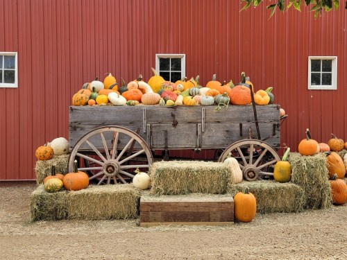 A rustic wooden cart filled with colorful pumpkins, surrounded by hay bales, in front of a red barn.