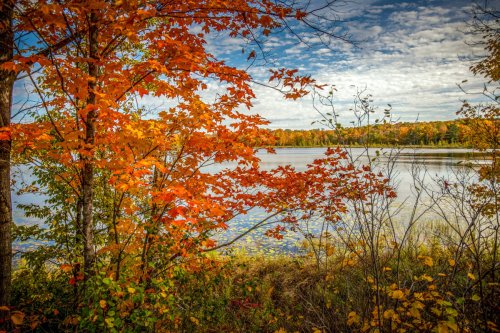 Vibrant autumn leaves frame a serene lake under a partly cloudy sky, showcasing fall colors and natural beauty.