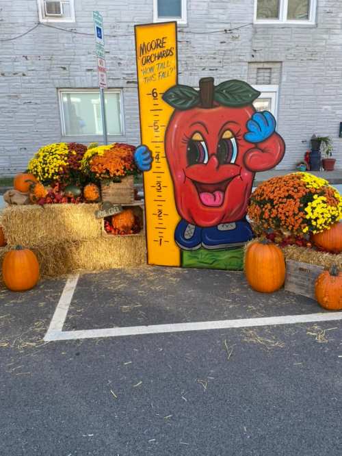 A colorful apple character stands next to pumpkins and vibrant mums, with a height chart for kids to measure.