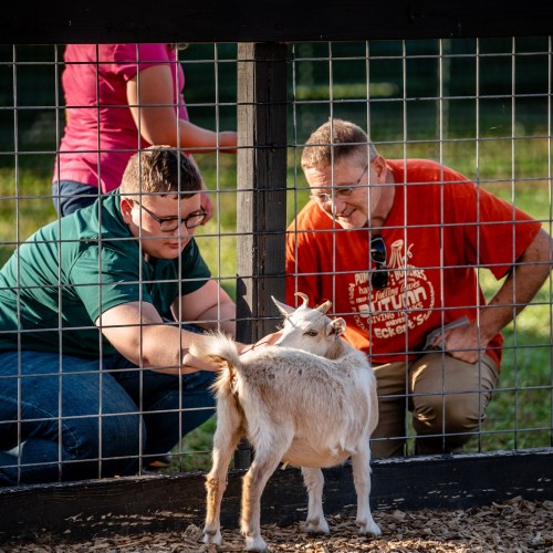 Two people interact with a goat through a fence, smiling and enjoying the moment in a sunny outdoor setting.